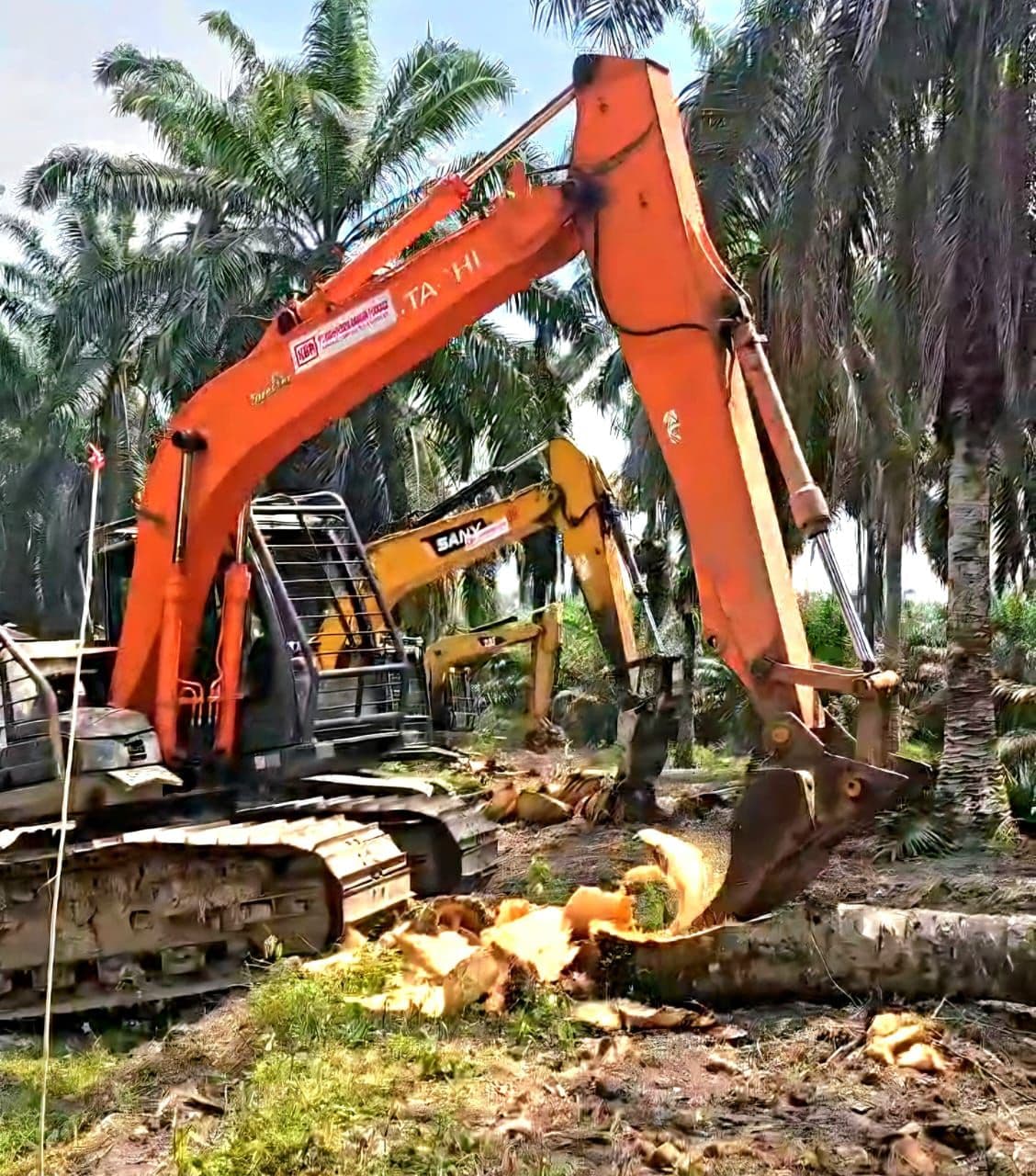 B50 Bukan Ancaman, Tapi Ketersediaan CPO Jadi Tantangan 