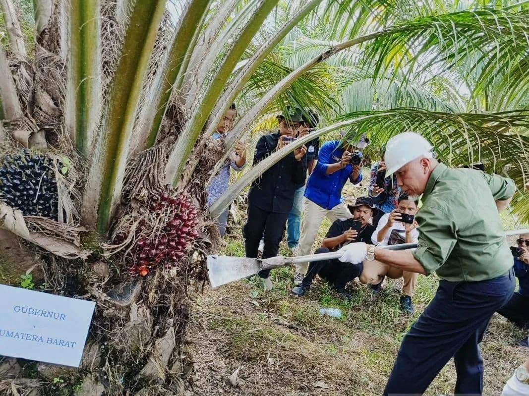 BPBDKS Berhasil Jalankan PSR 14.919 Hektare Sejak 2018 di Sumbar 