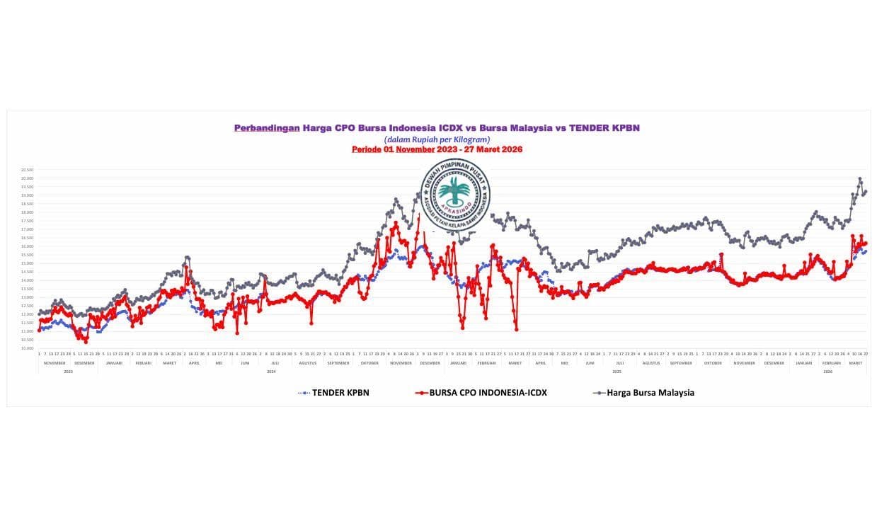 Harga CPO Menguat, Tembus Rp15.850/Kg di KPBN, Ditopang Pasar Global dan Lonjakan Ekspor