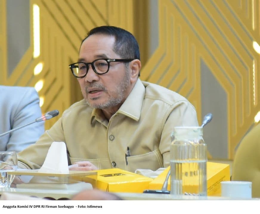 Pemerintah Didorong untuk Susun UU Khusus Kelapa Sawit