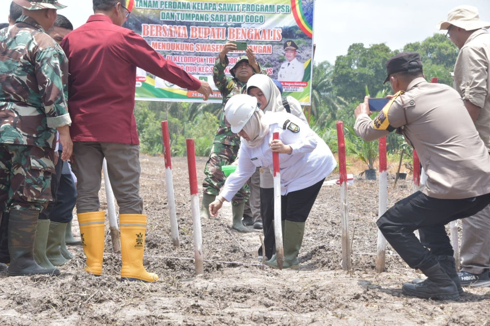 Bupati Bengkalis Tanam Perdana Sawit PSR & Padi Gogo di Siak Kecil, Dukung Swasembada Pangan dan Kesejahteraan Petani