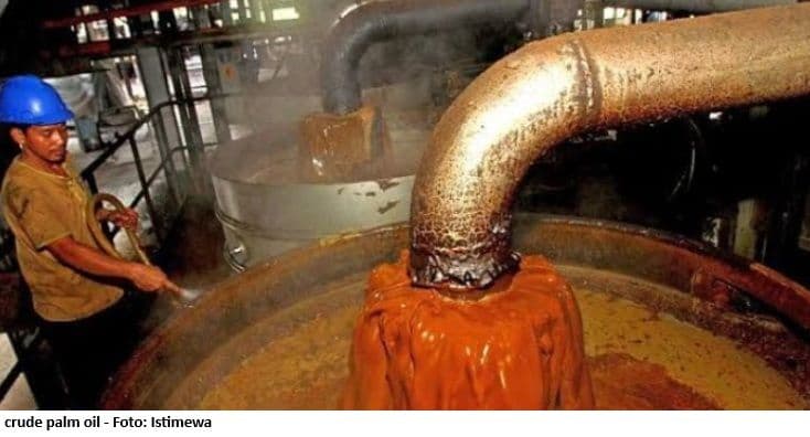 Periode Mei 2026, Harga Referensi CPO Naik 