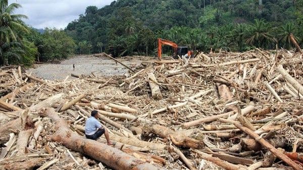 Banjir Melanda Sumut, APKASINDO: Harga TBS Justru Naik, Akses Petani Terganggu