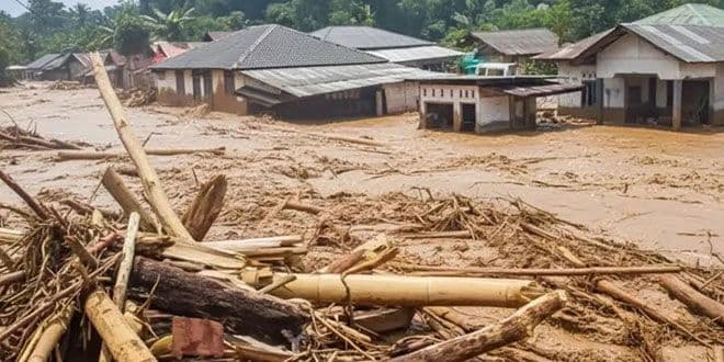 Sawit Kembali Dituding Biang Banjir, APKASINDO Sumut: Justru Jadi Korban