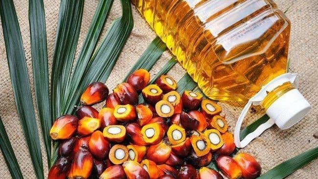 Dari Dapur hingga Kosmetik, Sawit Hadir di Setiap Detik Kehidupan Masyarakat
