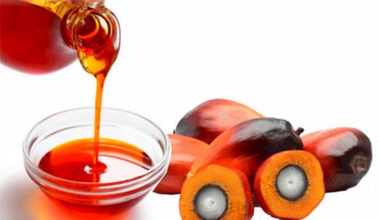 Minyak Sawit Merah: Superfood dari Sawit yang Berpotensi Lawan Stunting dan Gerakkan Ekonomi Desa
