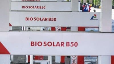 Bukan Cuma Biosolar, Dexlite dan Pertamina Dex Kini Juga Berbahan Sawit: Era B50 Resmi Dimulai
