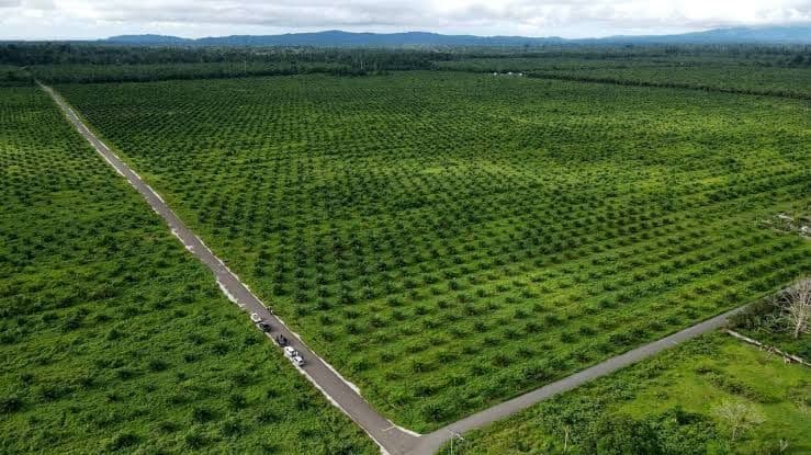 GAPKI Sumbar Terkait PAP: Kami Patuh, Sepanjang Sesuai Aturan yang Berlaku