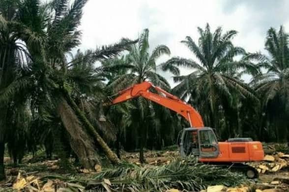 PSR Riau Tembus 55.140 Hektare, Dana Rp1,9 Triliun Sudah Disalurkan