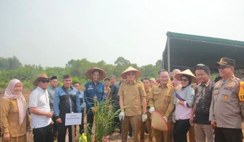 Pemkab Bangka Barat Gandeng Koperasi Percepat Peremajaan Sawit Rakyat, Fokus Bangkitkan Produktivitas Petani
