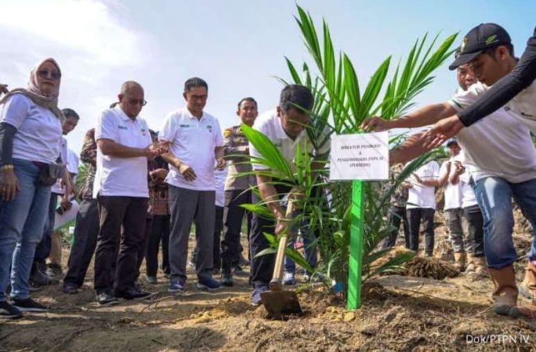 PTPN IV Riau Wujudkan Ketahanan Pangan dan Energi Melalui Peremajaan