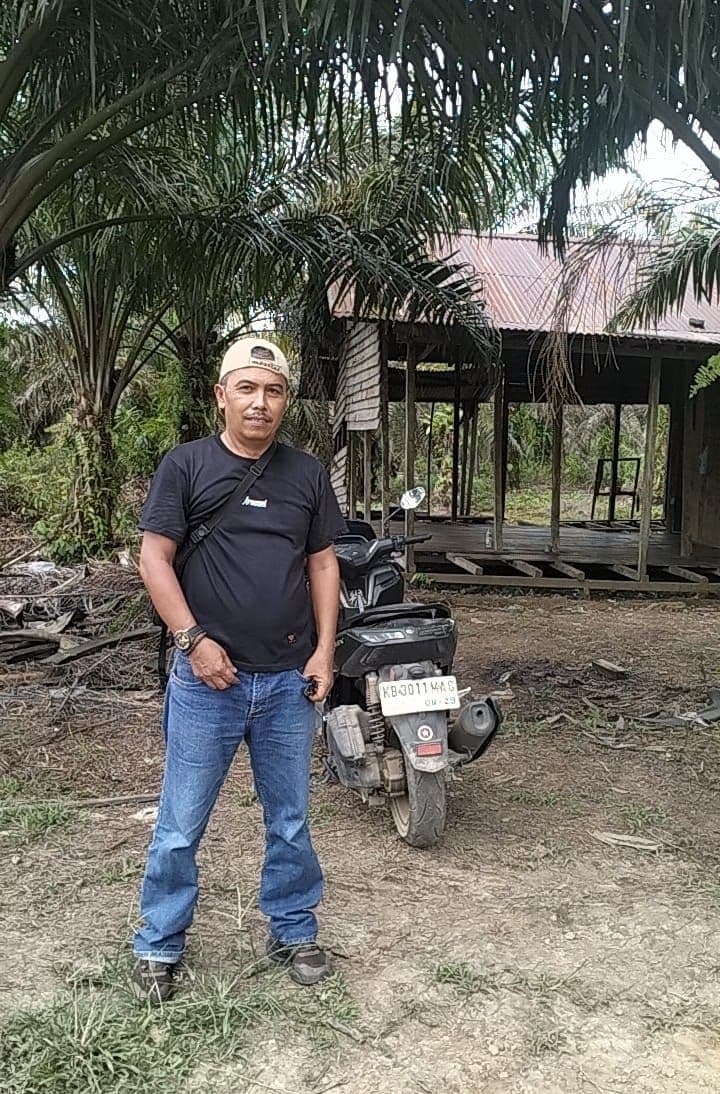 Jelang B50, Harga TBS Kalbar Justru Turun