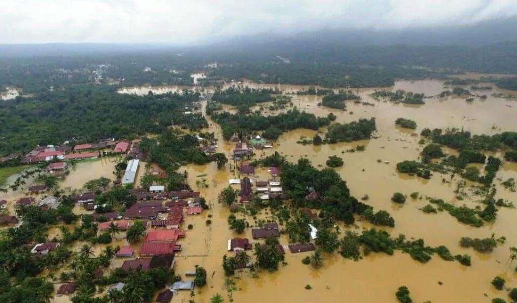 Data BNPB 2025 Ungkap Daerah Sentra Sawit Justru Lebih Minim Banjir