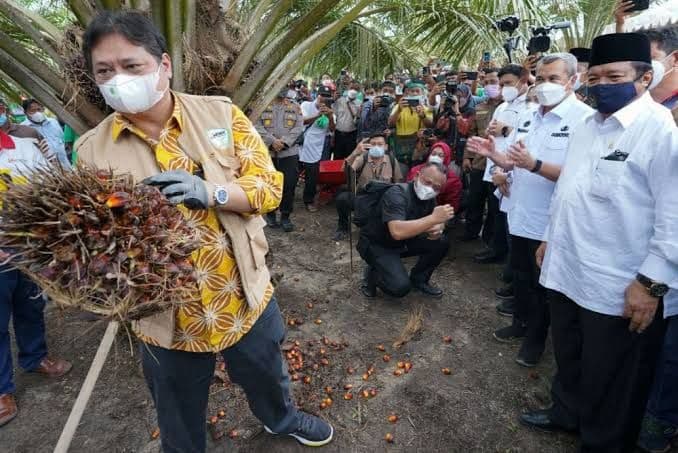 Pemerintah Gaspol Bebaskan Tarif Sawit ke AS, Negosiasi RI–AS di Tahap Final