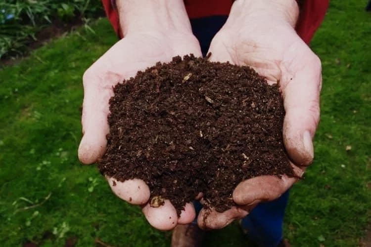 Dari Limbah Jadi Manfaat, KUD di OKI Inovasi Pupuk Organik Sawit