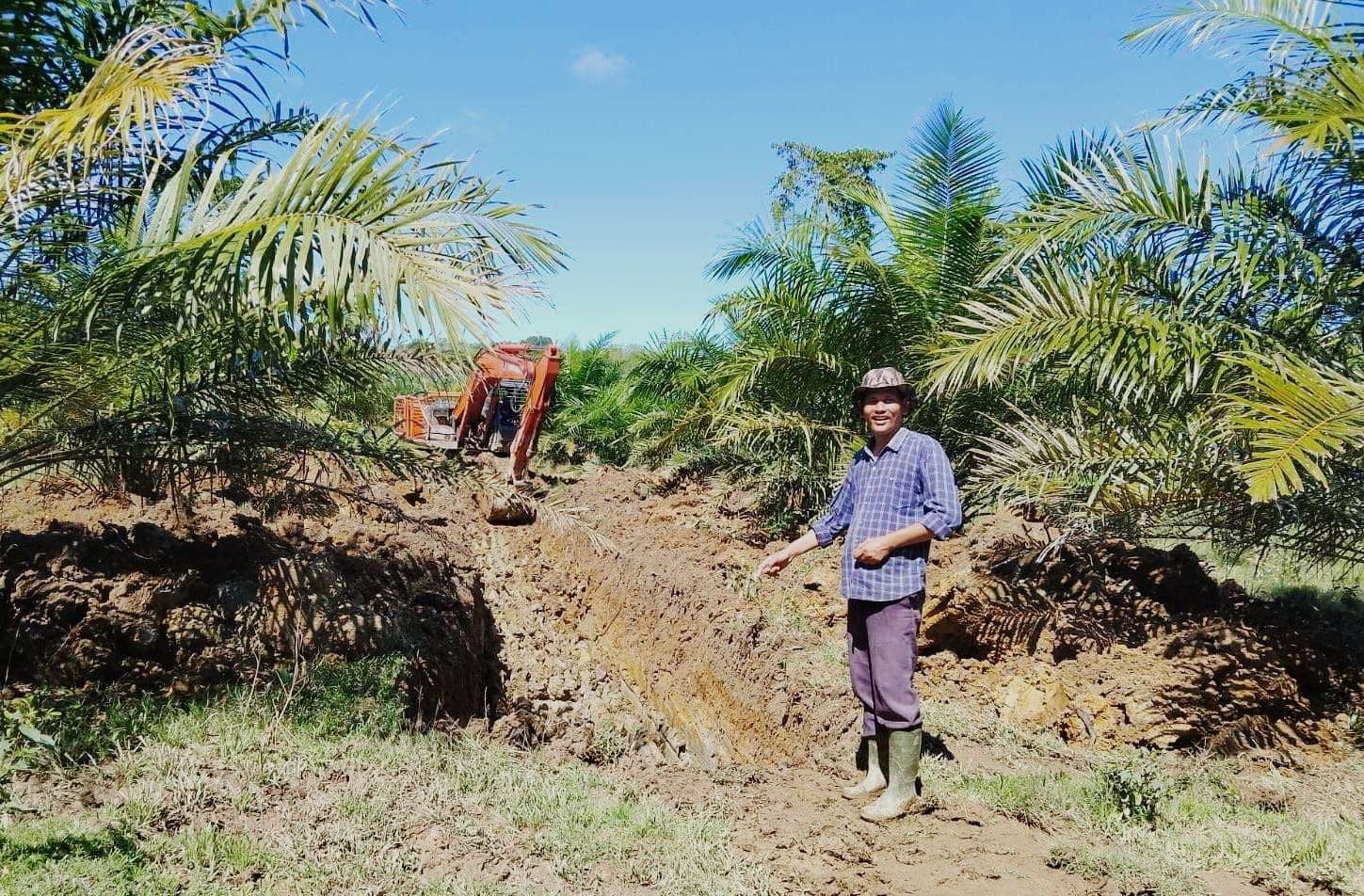 Sawit Rakyat Jadi Penyangga Ekonomi Keluarga di Aceh Barat
