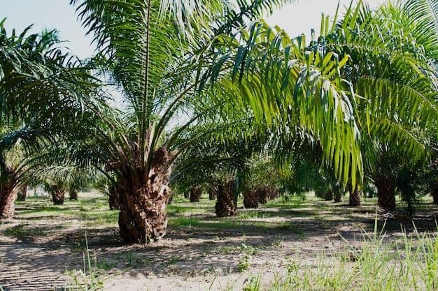 Mengapa Sawit Sulit Digantikan?