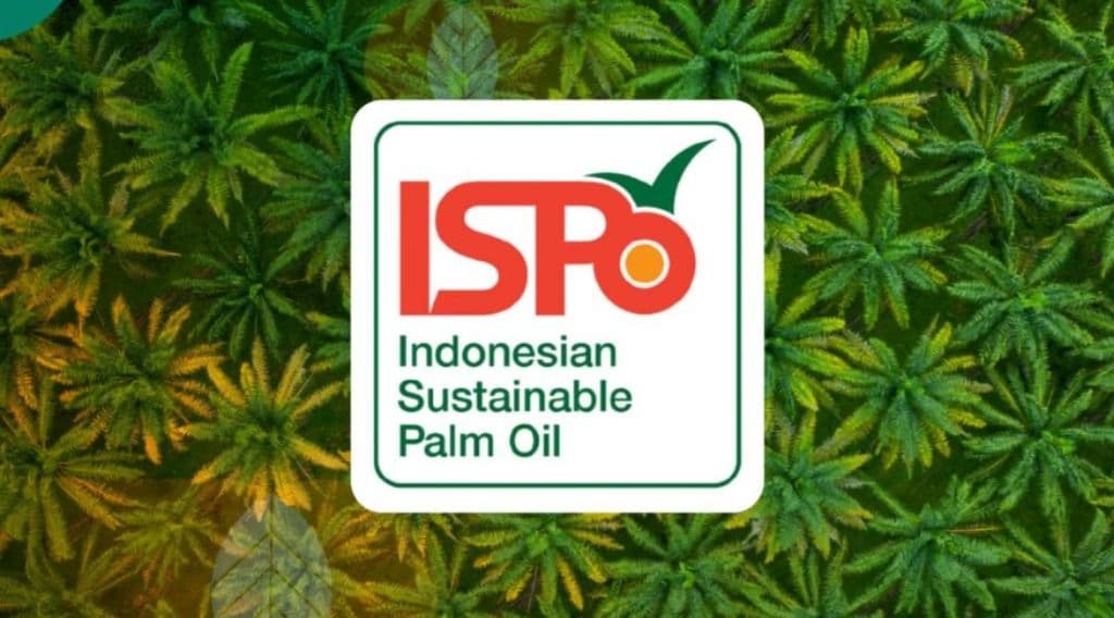 ISPO Jadi Senjata Hilirisasi Hijau Sawit Indonesia Hadapi Pasar Global 2026