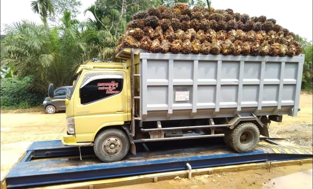 Di Apresiasi Petani, Pemprov Kalbar Korektif Aturan Penetapan Harga TBS Petani Sawit