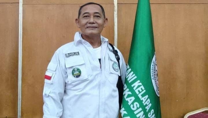 APKASINDO: PSR Mulai Berbuah, Produksi Sawit Sumbar Naik