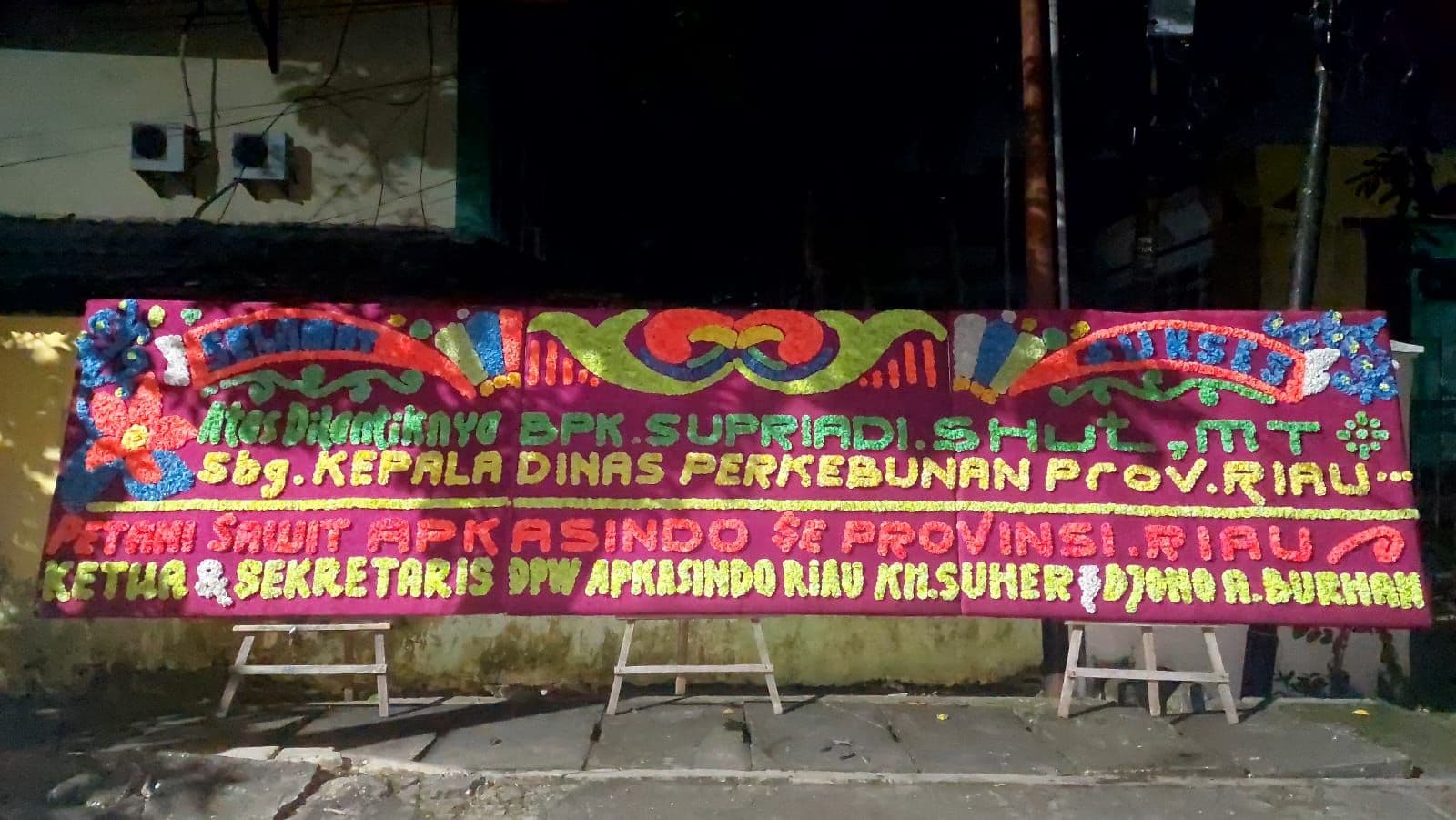 WhatsApp Image 2026-01-29 at 15.50.38.jpeg