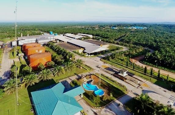 Ekonom Pertanian: Indonesia Raja Sawit, Tapi Keuntungan Banyak Mengalir ke Luar Negeri