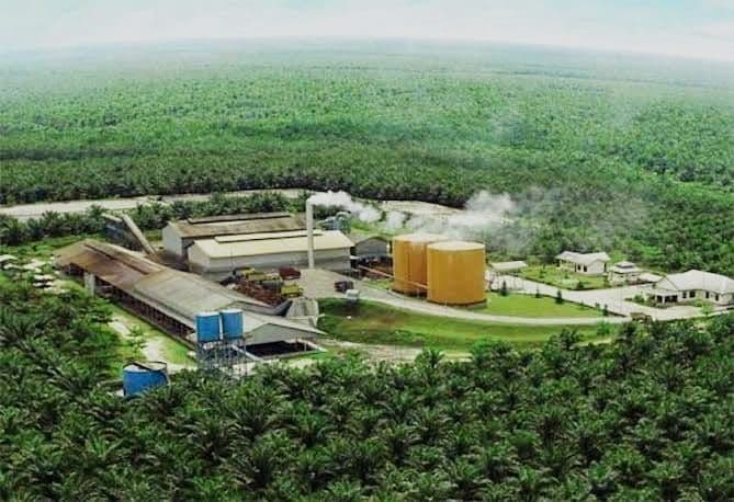 Agus Pakpahan: PDB, Ekspor, dan Pertumbuhan Kerap Mengelabui, Sawit Membuka Wajah Asli Akumulasi Ekonomi Indonesia