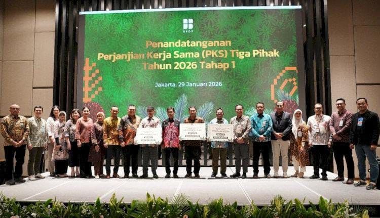 BPDP Pacu Peremajaan Sawit Rakyat, Targetkan 50 Ribu Hektare pada 2026