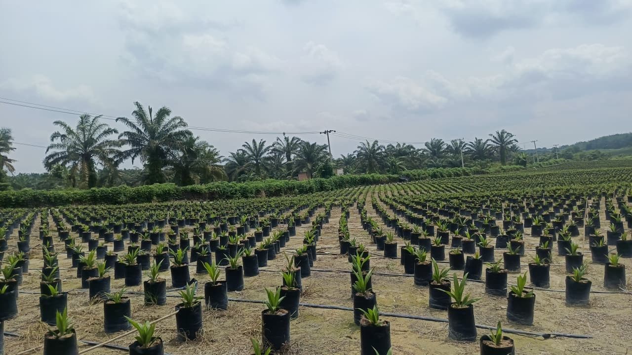 WhatsApp Image 2026-02-06 at 09.30.16.jpeg