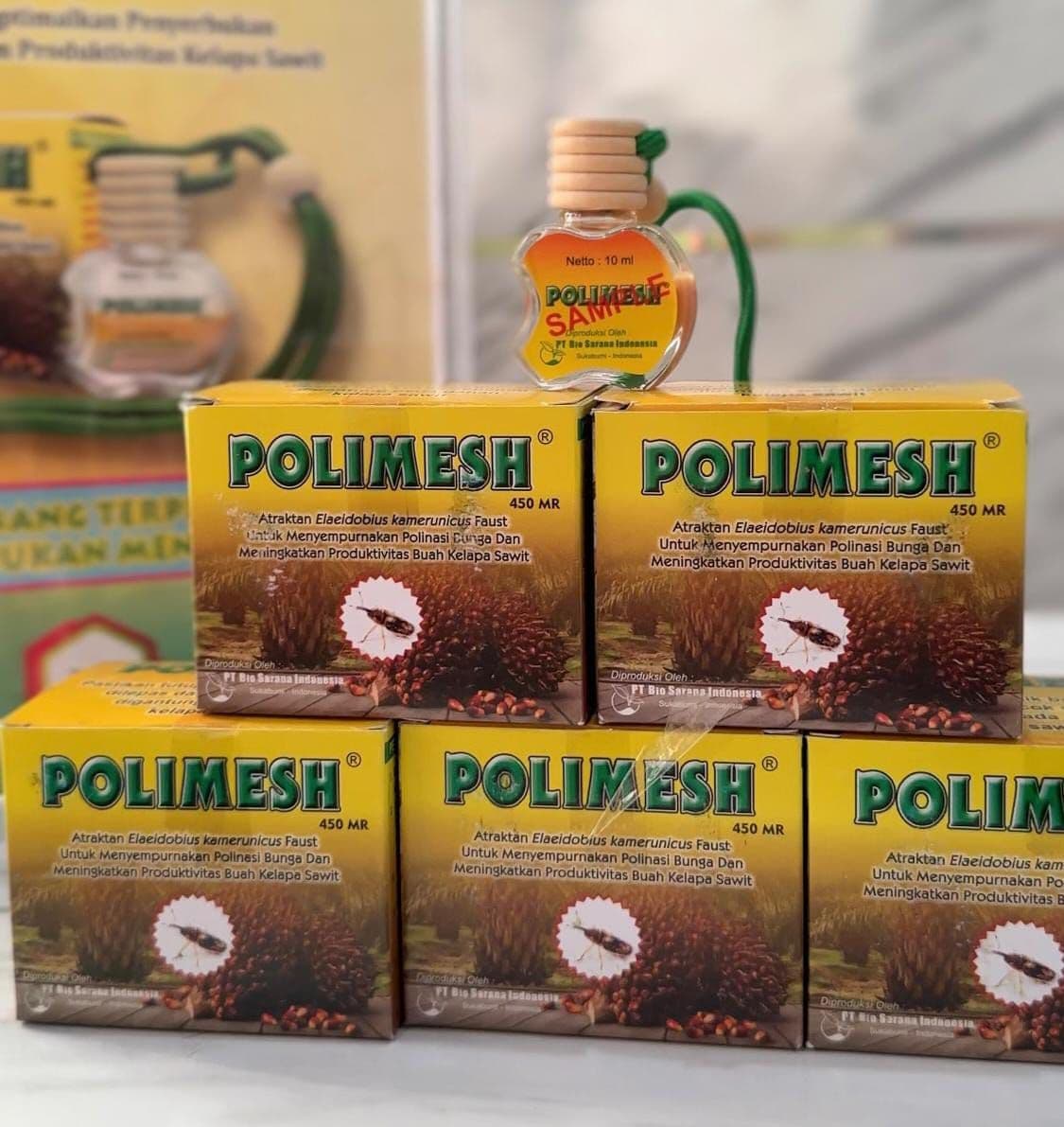 WhatsApp Image 2026-02-12 at 15.32.22.jpeg