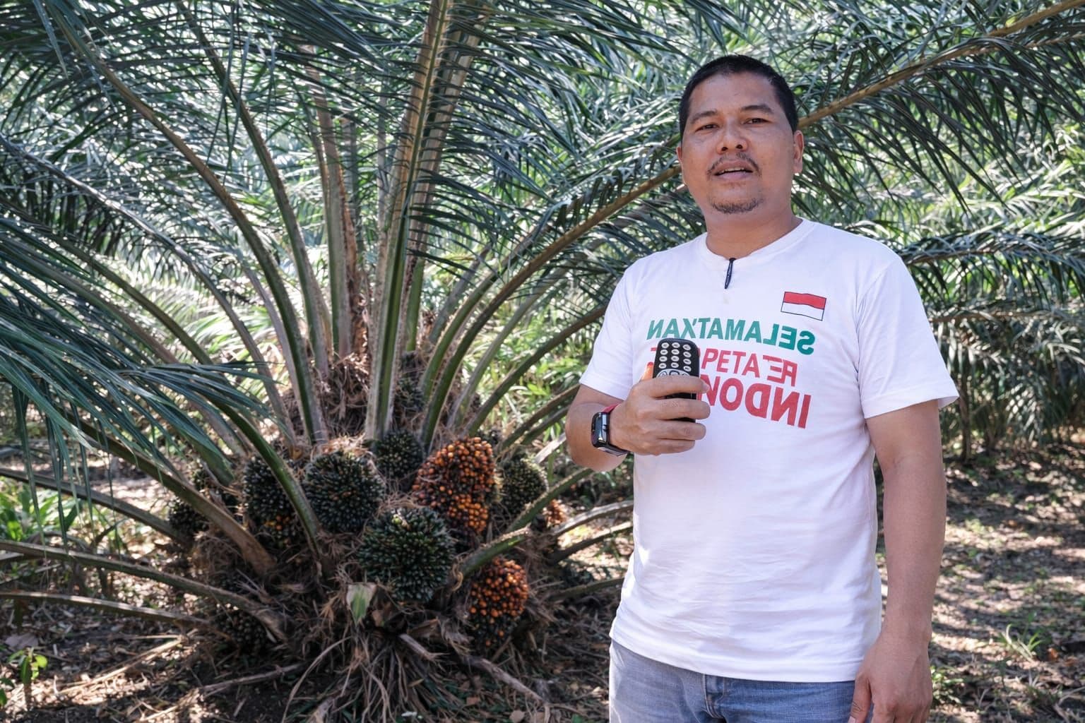 PAP Rp1.700 per Pohon Ancam Harga TBS, Petani Kampar Angkat Suara