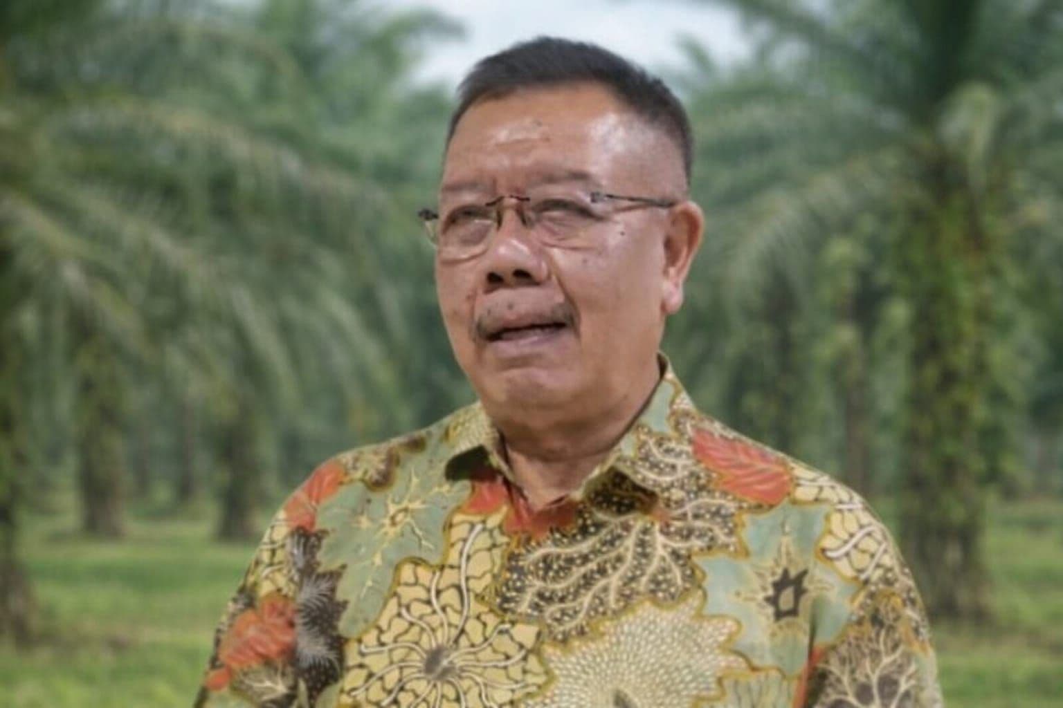 Satire Dua Butir Sawit dan Cermin di Ujung Pisang Goreng