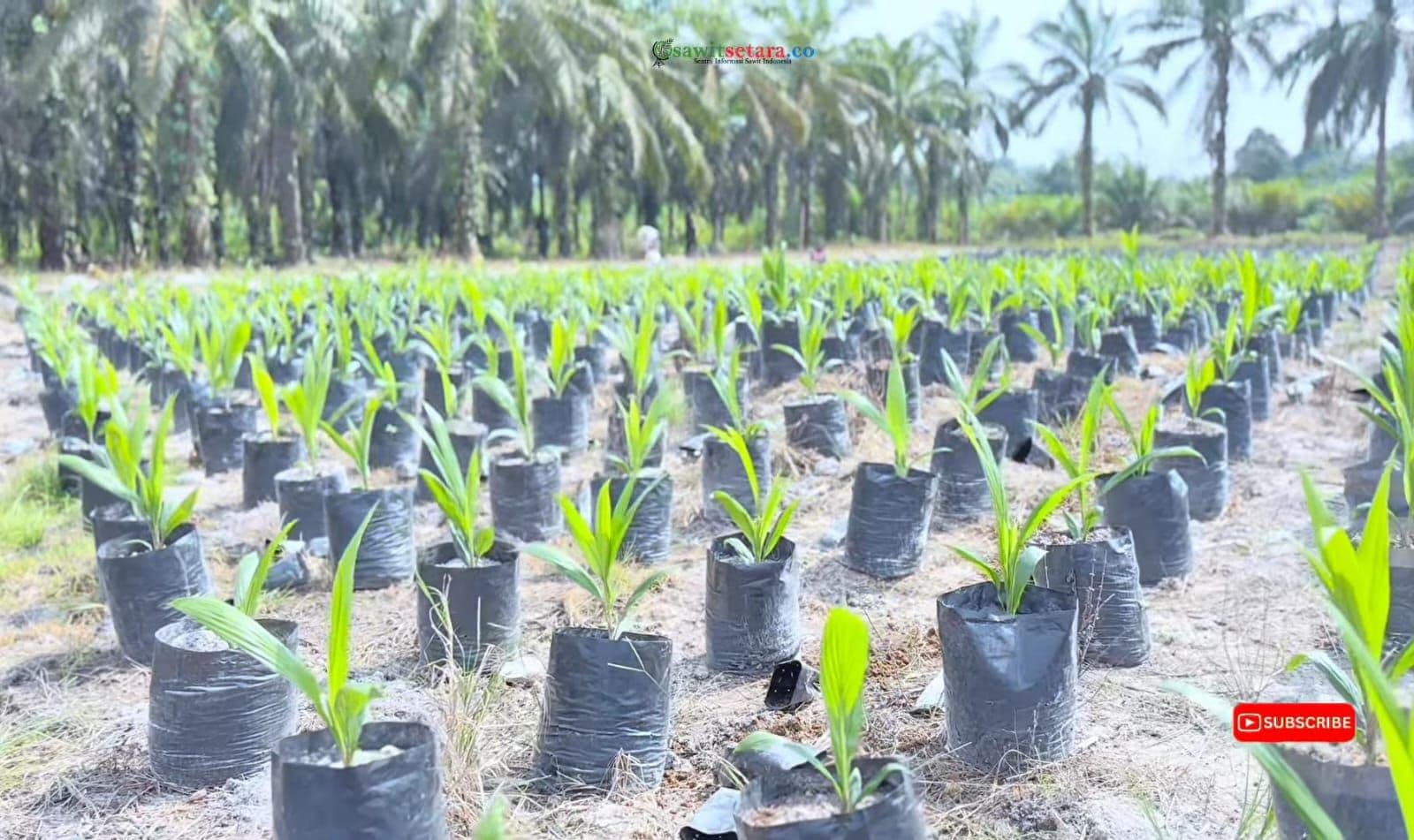 WhatsApp Image 2026-03-11 at 11.17.04.jpeg