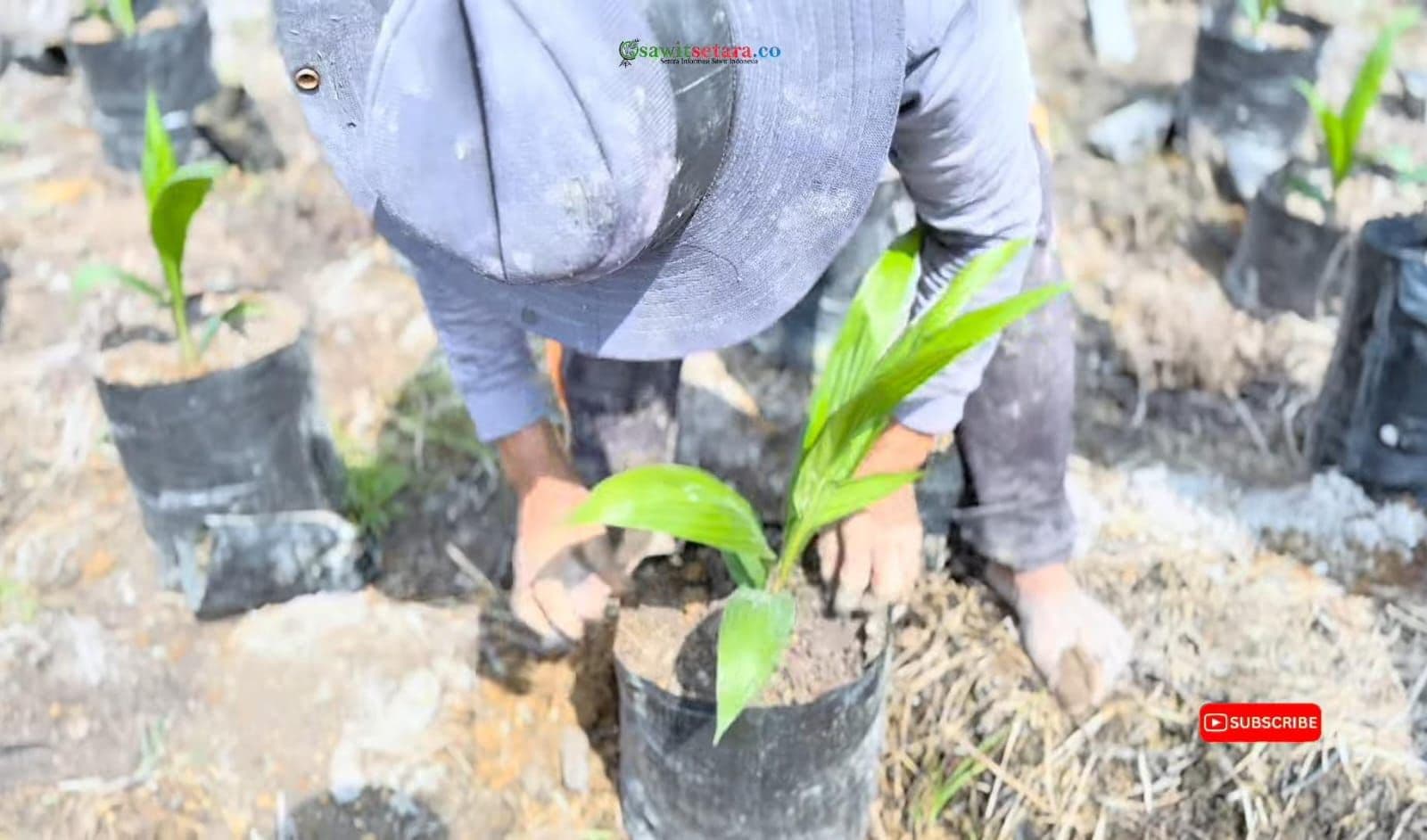 WhatsApp Image 2026-03-11 at 11.42.30.jpeg