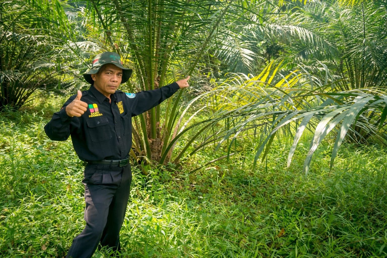 APKASINDO Nilai Mekanisme Harga TBS PT AIP Terhadap KPNT Masih Wajar