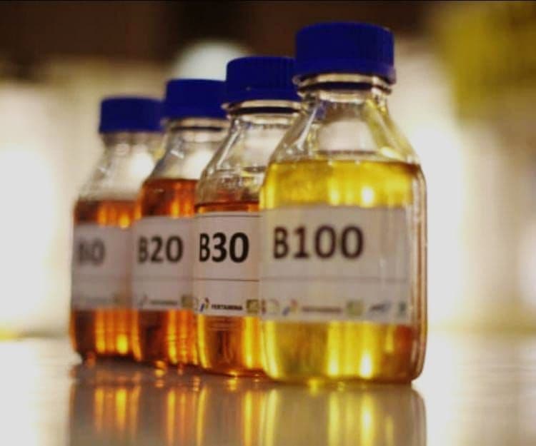 Malaysia Dorong B100 Jadi Energi Alternatif, Tunggu Kepastian Kebijakan