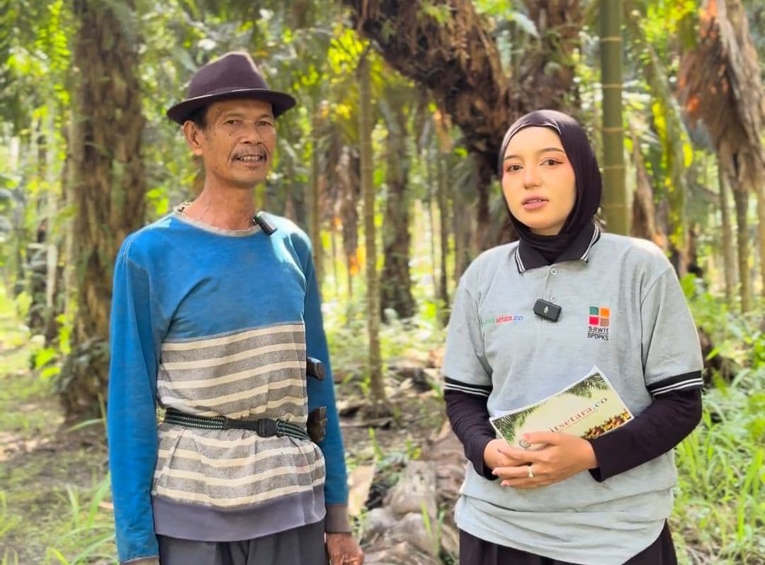 Petani Sawit di Inhil Cemas Wacana Penutupan PKS Tanpa Kebun