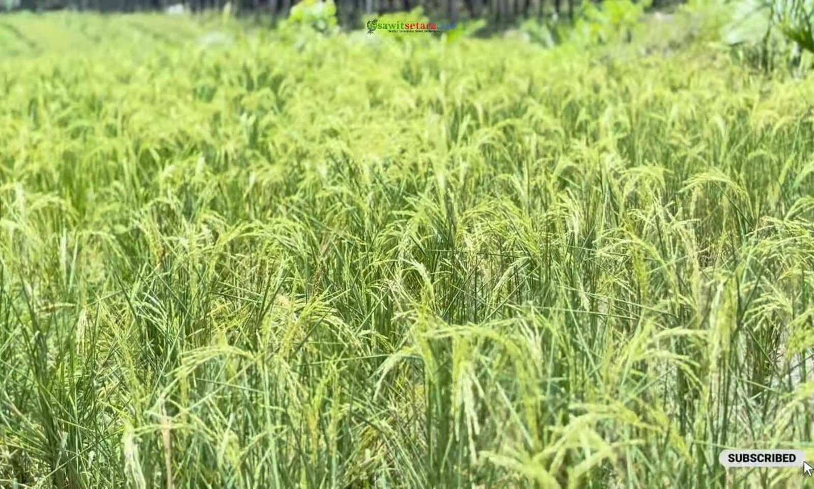 WhatsApp Image 2026-04-13 at 14.40.43 (1).jpeg