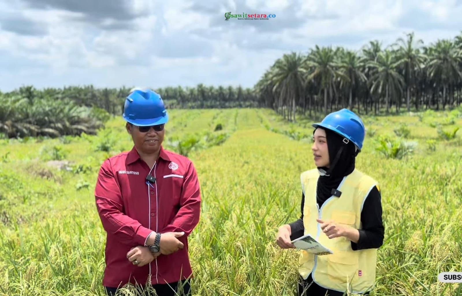 WhatsApp Image 2026-04-13 at 15.15.05.jpeg