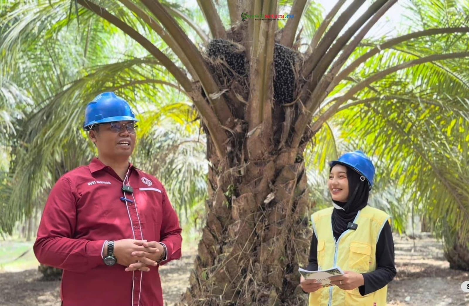 WhatsApp Image 2026-04-13 at 16.35.26.jpeg