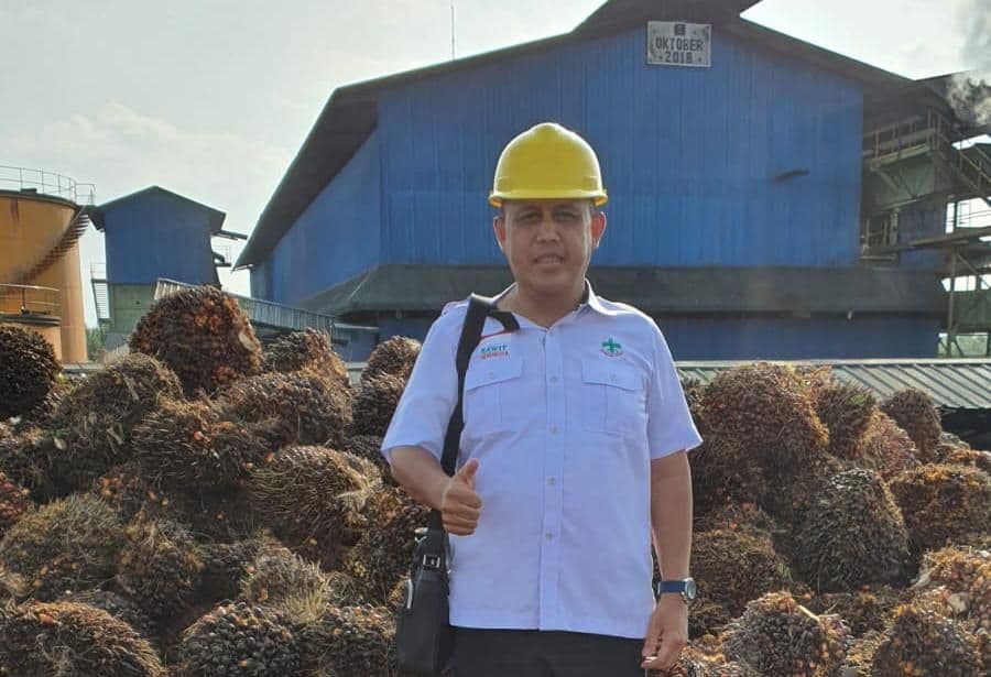 Petani Sawit Kaltim Angkat Suara: Penutupan PKS Tanpa Kebun Dinilai Ancam Nafkah Ribuan Petani