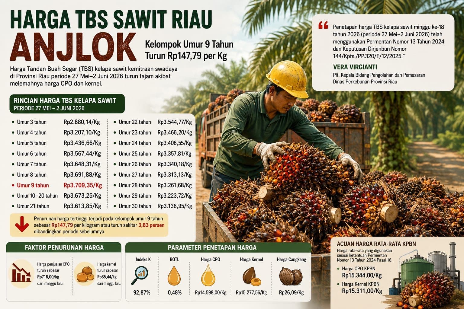 Harga TBS Mitra Swadaya Sawit Riau Tercatat Turun, Kelompok Umur 9 Tahun Terkoreksi Rp147,79 per Kg