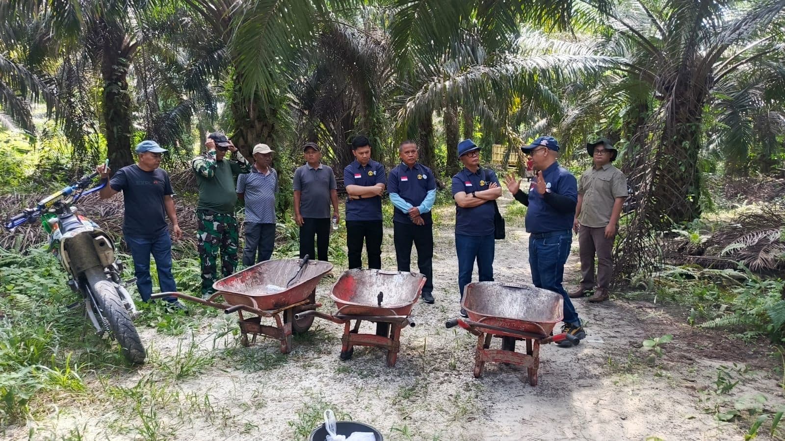 Tulis Novel “Kisah Cinta Petani Sawit” untuk HUT APKASINDO ke-26, Prof. Agus Sardjono Turun ke Kebun Sawit Rakyat