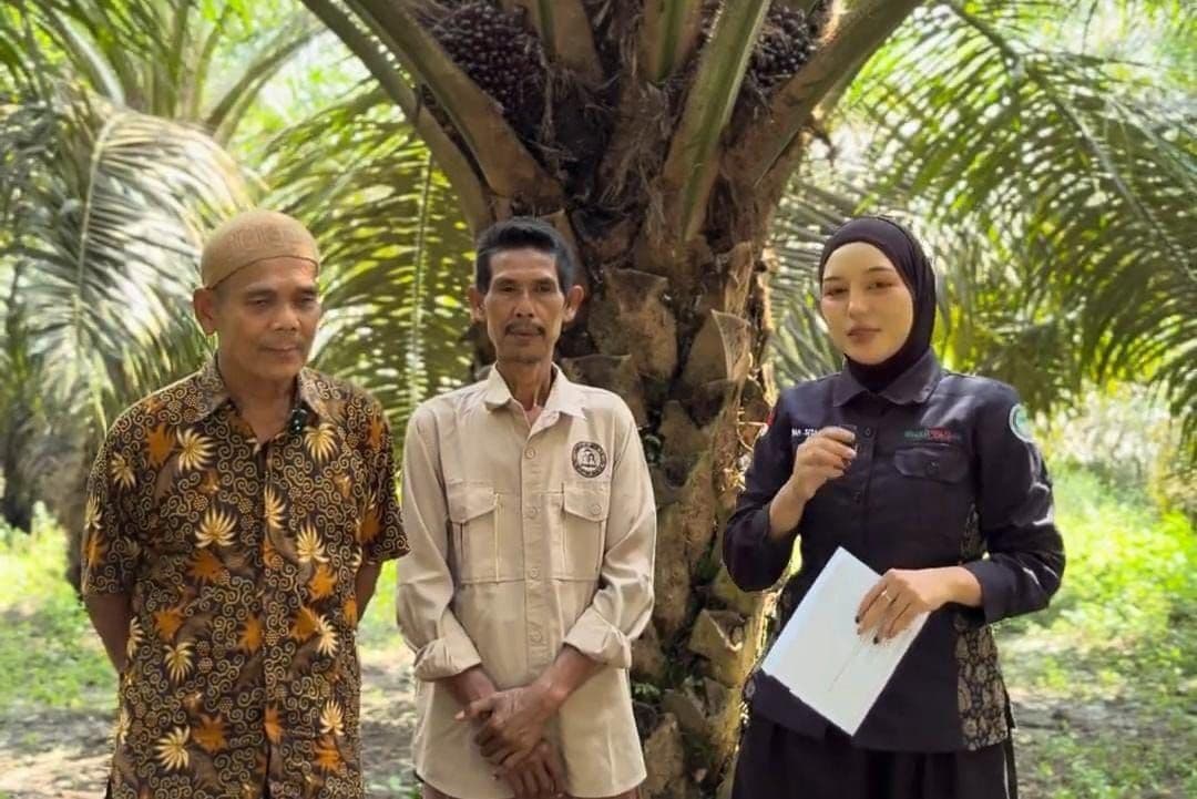 Petani Rasakan Dampak Nyata PSR, Produktivitas Kebun Naik Lebih dari Dua Kali Lipat