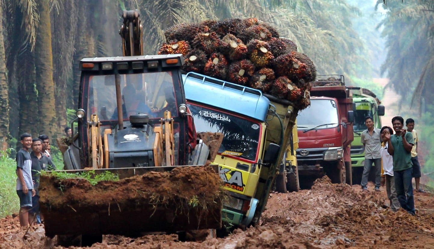 Daerah Penghasil Sawit Desak Evaluasi DBH, Bupati PPU: Jalan Rusak, Bagi Hasil Hanya 4 Persen