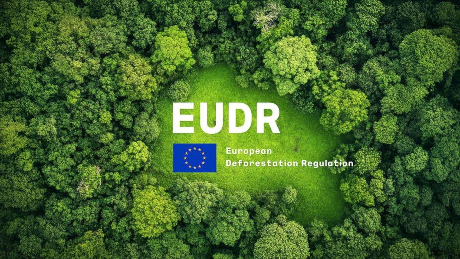 Strategi Green Productivity Dinilai Jadi Kunci Sawit Hadapi EUDR dan Tuntutan Keberlanjutan