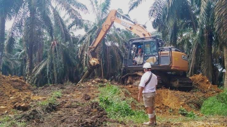 Pekanbaru Intensifkan Pendampingan Program PSR, Pekebun Sawit Dibantu Penuhi Persyaratan Pengajuan