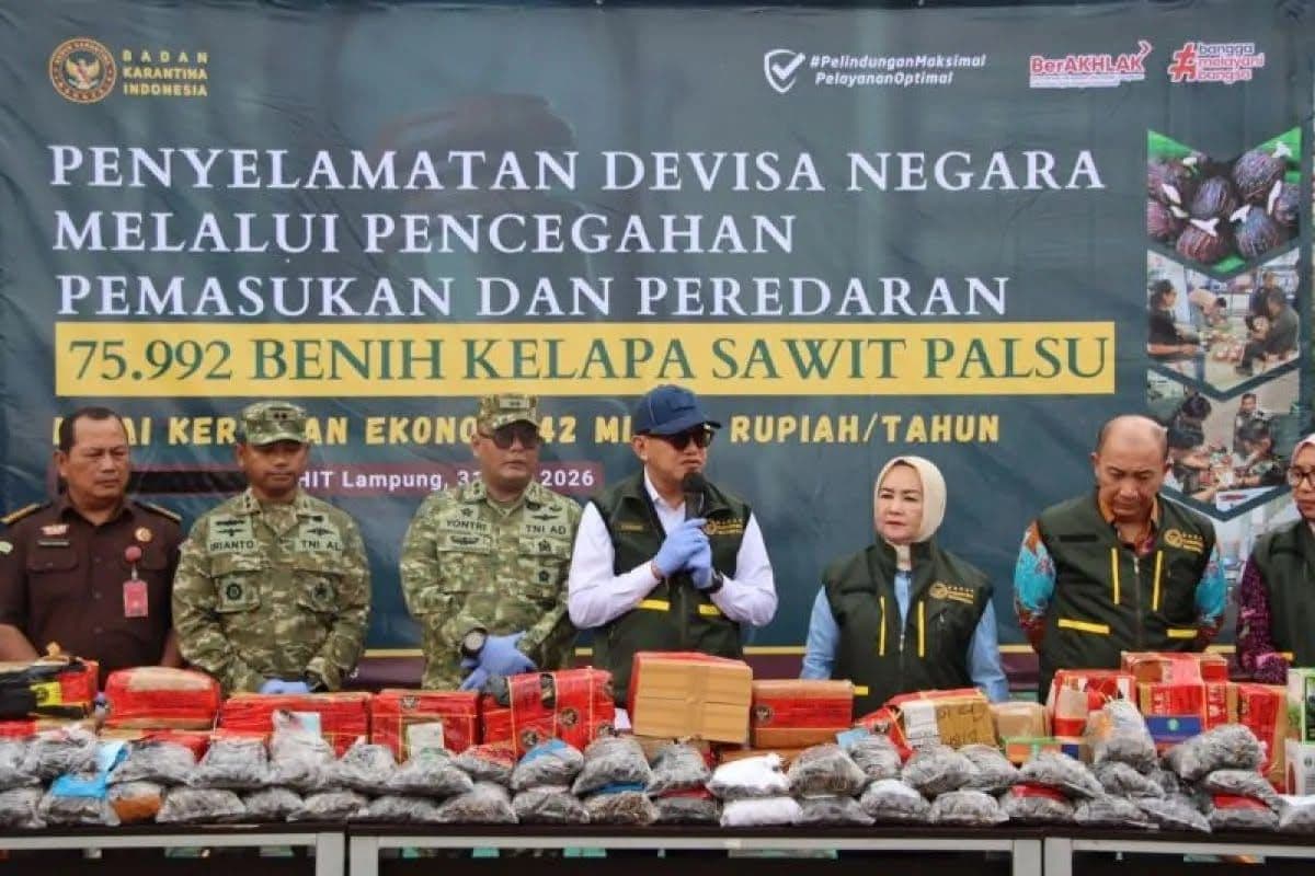 Gagalkan Peredaran 75.992 Benih Sawit Ilegal di Lampung, Barantin: Bibit Palsu Bisa Rugikan Petani hingga Rp42 Miliar per Tahun