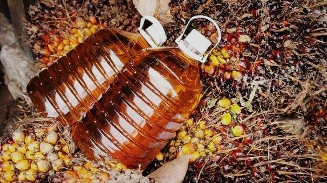 Sawit Bukan Sekadar Minyak Goreng