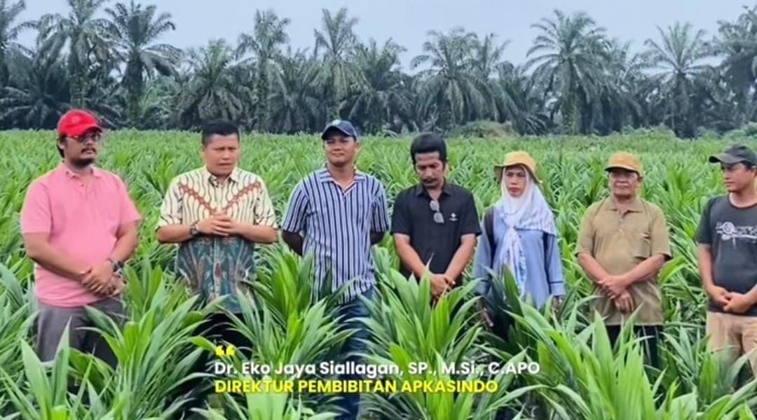 APKASINDO Dorong Petani Manfaatkan Program PSR, Siap Penuhi Kebutuhan Bibit
